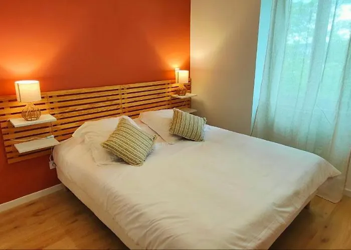 Appartement à Thème Clermont-Ferrand