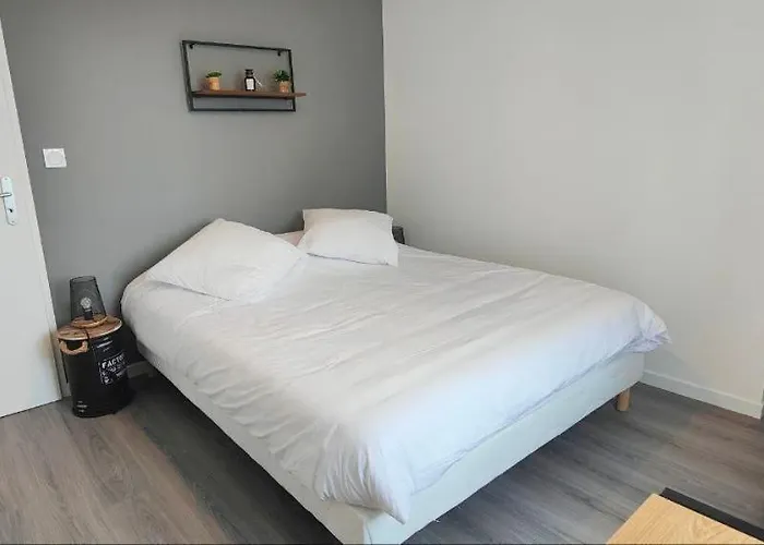 A Theme شقة كليرمونت-فيراند